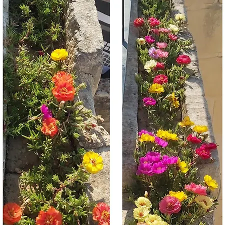 Pensjonat The Hidden Gem Boutique 4*