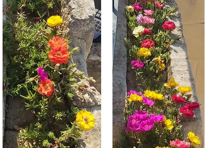 Guest house The Hidden Gem Boutique 4*